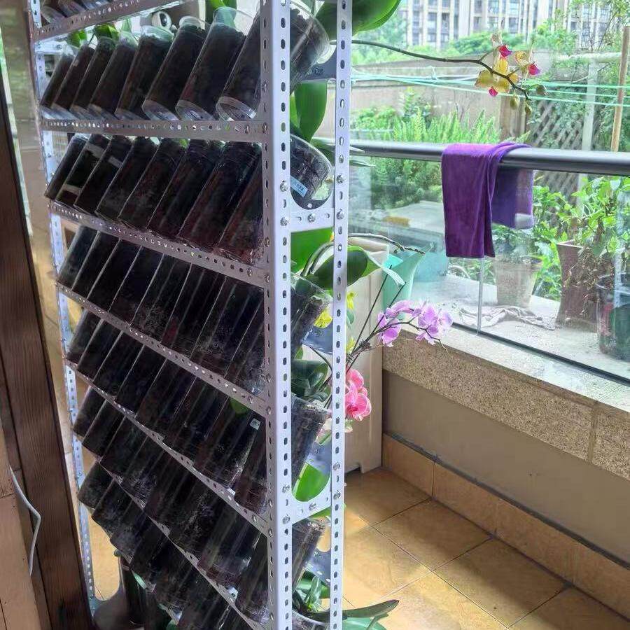 蝴蝶兰花架靠墙小货架自由组合材料角钢角铁条组装材料带孔三角铁