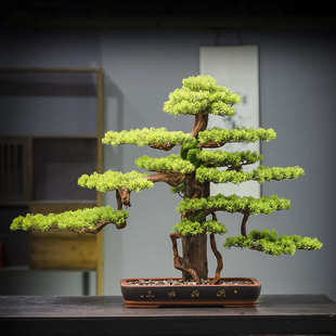 新中式 饰品 仿真迎客松盆景办公室玄关摆件绿植假树酒店样板间装