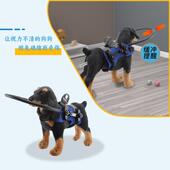 失明防护圈宠物用品防障碍物保护罩可调节便携盲眼防撞圈宠物