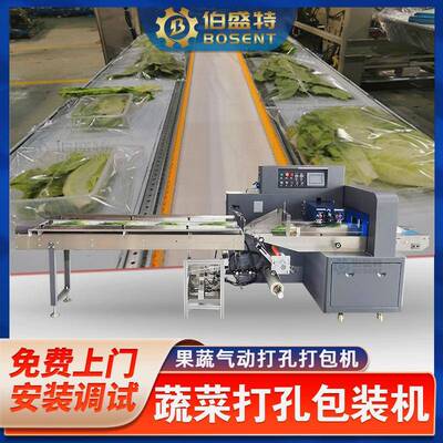 佛山蔬菜包装机BST-600果蔬瓜感应式三伺服包装机自动打孔打包机