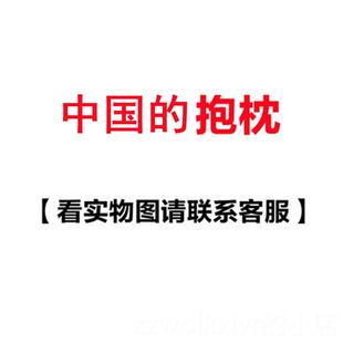 新款仿真美元枕票毛绒玩具女士抱钞睡觉床上枕头创意着抱生日礼物