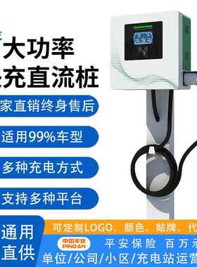 0/40KW新能源电动汽车充电桩双枪60/80千瓦商用快充直流桩充电站