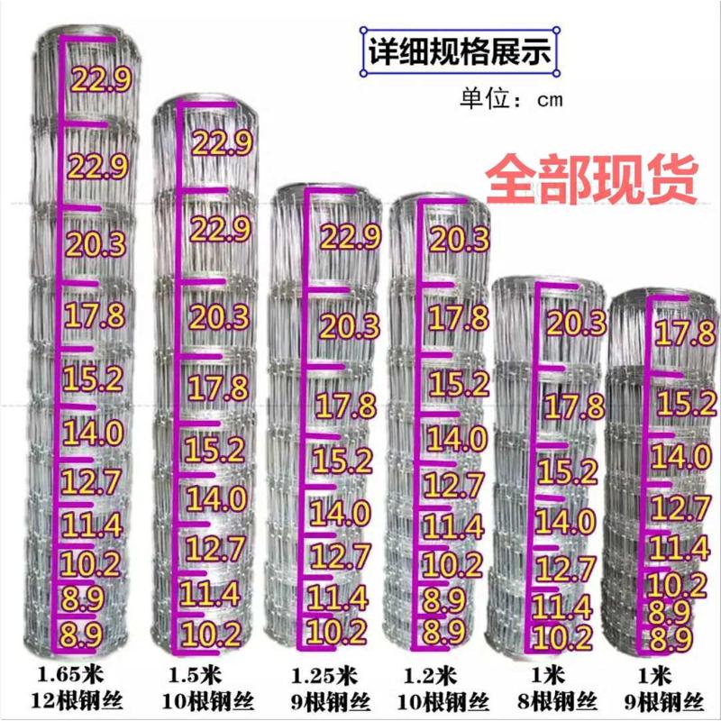 钢丝养牛栏网铁丝养牛防护镀锌养殖防护网果园防护圈地围栏网