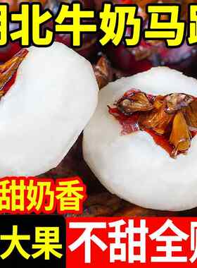 湖北牛奶马蹄荸荠新鲜特大果10斤蔬菜水果农家白马蹄即食特产包邮