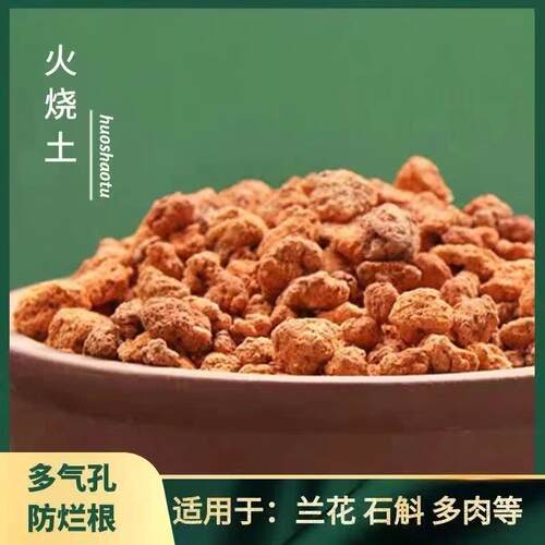 兰花专用土火烧土红土红兰石颗粒植料兰花多肉盆景垫底铺面火山石