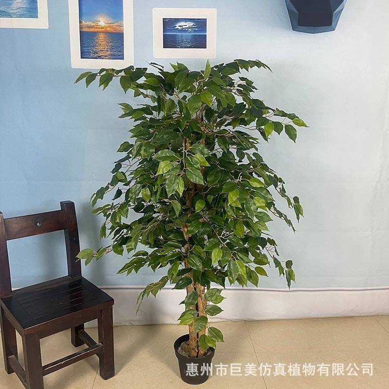 仿真榕树盆栽仿真迷你榕酒店橱窗装饰人造绿植盆栽厂家