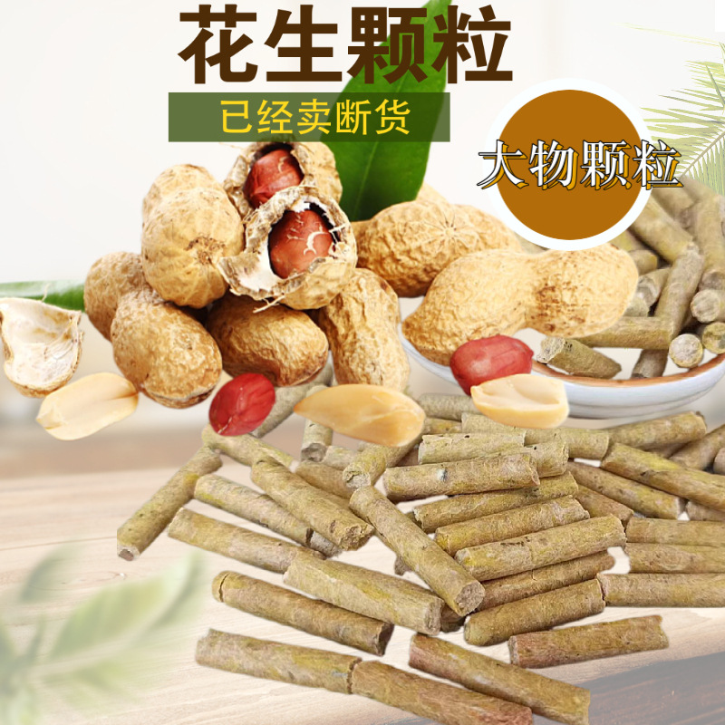 花生味青鱼颗粒窝料钓料大青鱼窝料可诱可钓散装饵料500g装