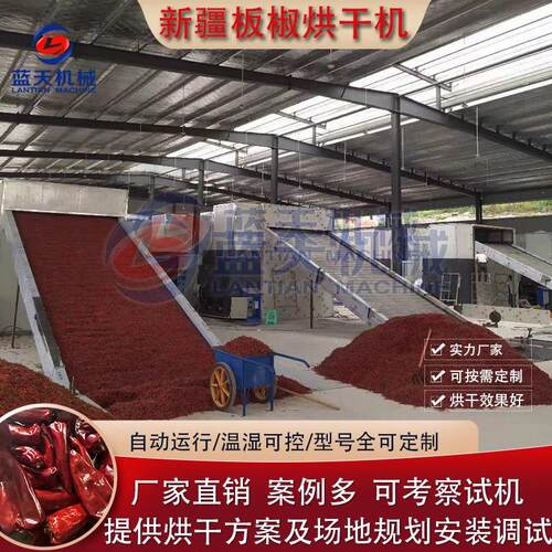 网带辣椒片烘干设备全自动红辣椒切丝段哄干机朝天椒板椒烘干机