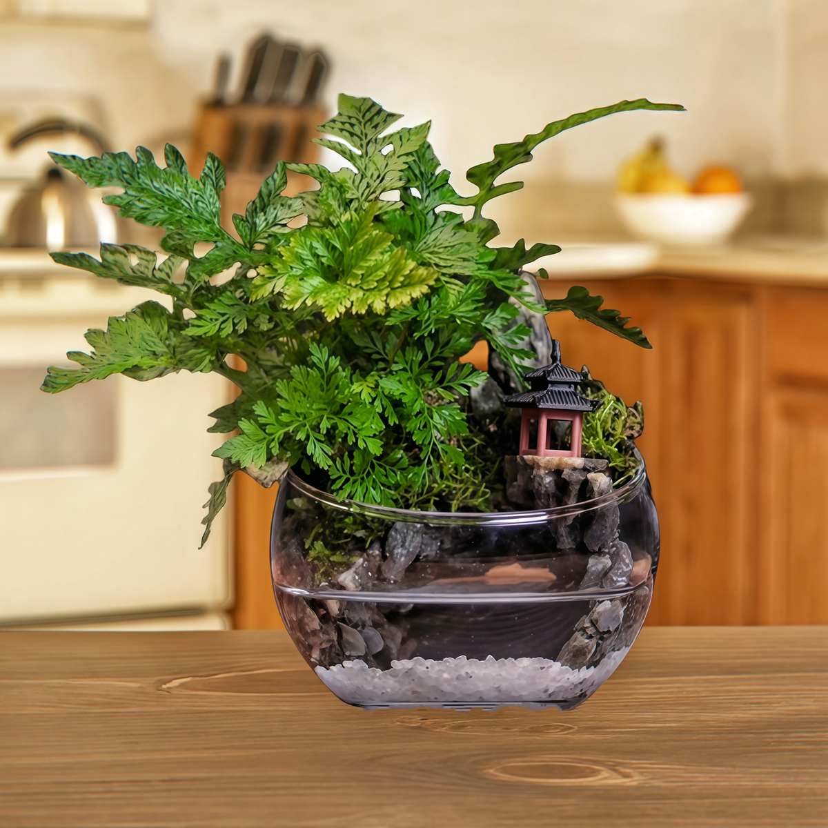 成品苔藓微景观桌面绿植生态雨林缸创意摆件懒人植物瓶桌面摆件
