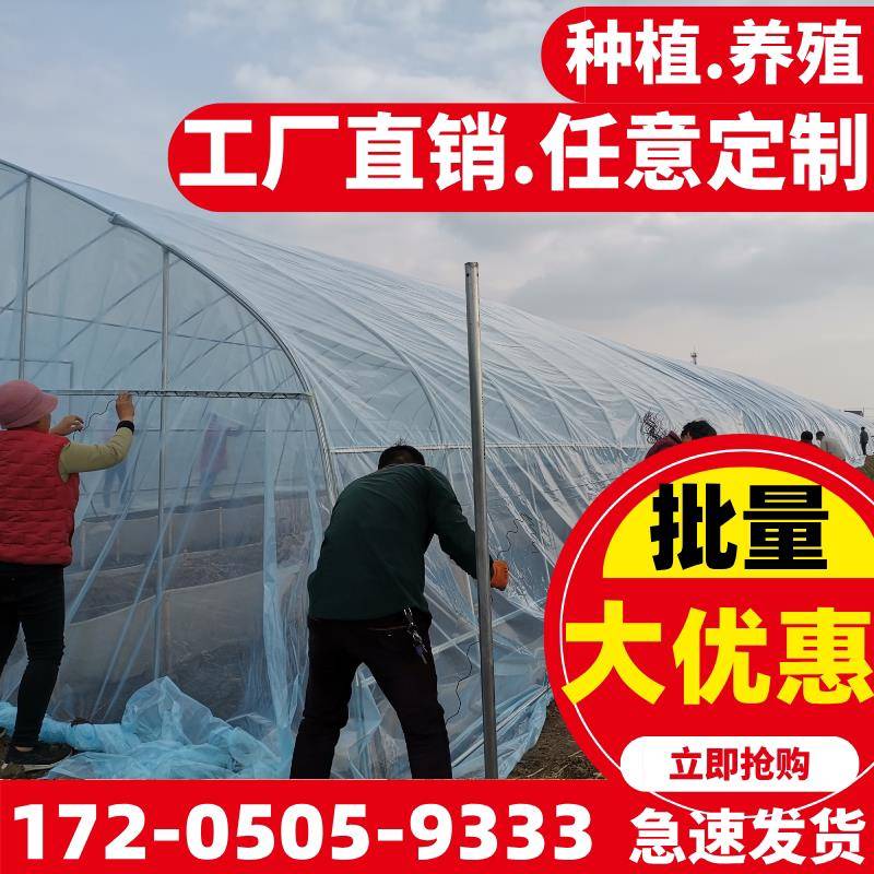 养殖大棚钢管骨架椭圆管架农业温室暖棚定制蔬菜大棚种植膜大全套