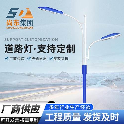LED市电路灯双头路灯 新农村小区户外道路灯6米7米8米双臂高低臂