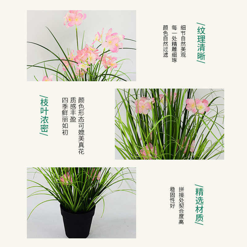 仿真洋葱草盆景洋葱草绿植家居摆件假树假草假花仿真绿植兰花盆栽