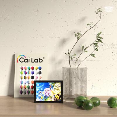 彩多屋3D打印耗材 1.75mm PLA+Bio浮雕照片打印 CMYK四色透光耗材