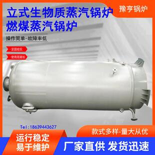 燃气锅炉全自动燃煤锅炉气化炉煤气发生炉燃油/燃气热水蒸汽锅炉