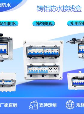 户外配开电箱2P63A二明装三相铸箱防水金属回路箱断路器铸铝空气