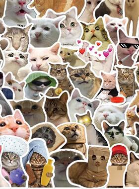 50PCS Cat MEME Funny Animals Stickers Vintage Toy 贴纸不干胶