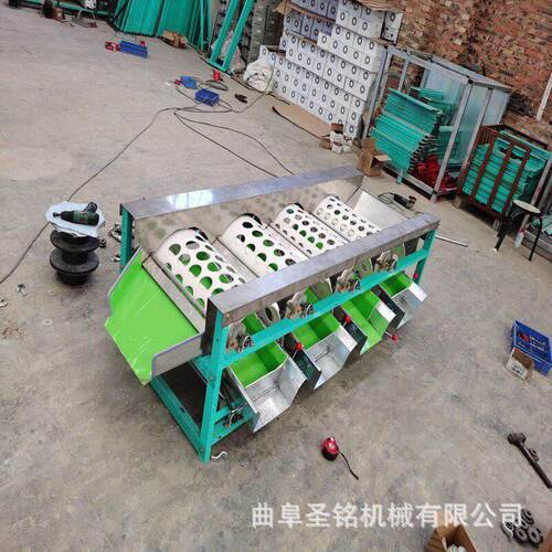 柳橙桔子柠檬精准分选机 滚筒式选果机 农用大蒜分级机 水果分级