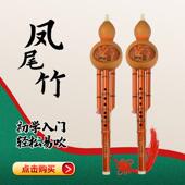 葫芦丝天然凤尾竹c调降b调大人小学生儿童表演入门初学专业用乐器
