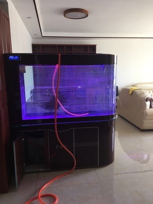 德国德克**头鱼缸怎么样用后告诉大家实情