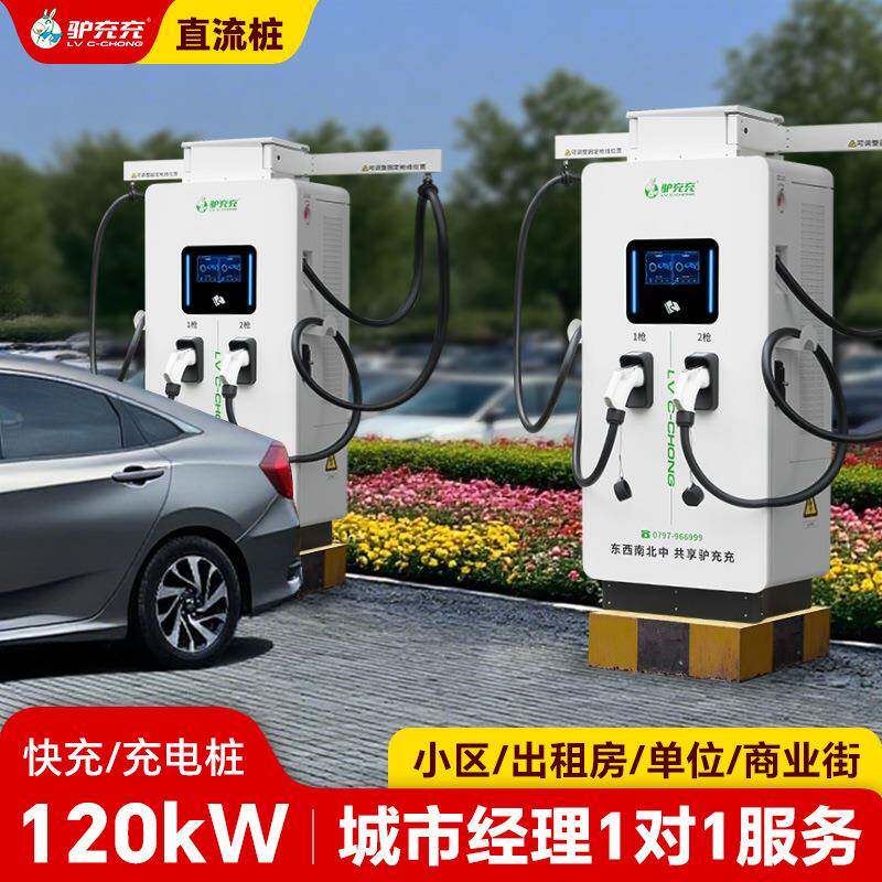 新能源汽车快充充电桩直流共享快充40/60/80/120KW
