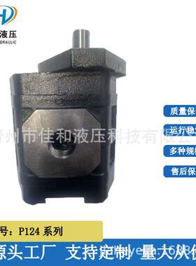 供应小型扒渣机齿轮泵CBGJ1045L