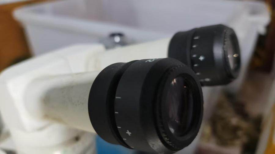 3月15日北京【京械2608】单位淘汰处置尼康专业体式显微镜一台网络拍卖公告