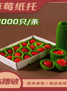 绿色草莓纸托纸垫绿色保护膜防碰伤保护套大中小号油纸易分开