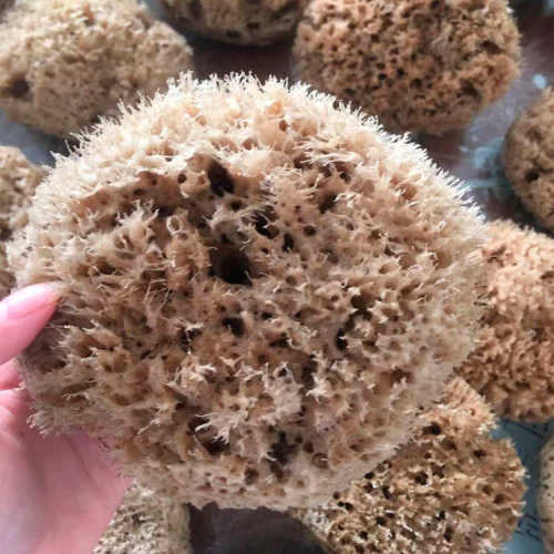 海藻拍艺术涂料滚筒艺术绵厂家涂料海藻海藻美轮美奂批发