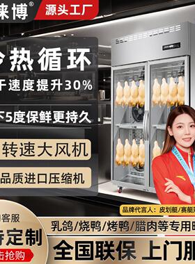 睿徕博晾胚柜商用晾鸭柜烤鸭鸭胚风干柜烧鸭风干机烧鸭烧腊吹鸭柜