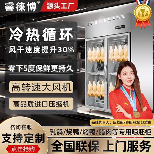 睿徕博晾胚柜商用晾鸭柜烤鸭鸭胚风干柜烧鸭风干机烧鸭烧腊吹鸭柜