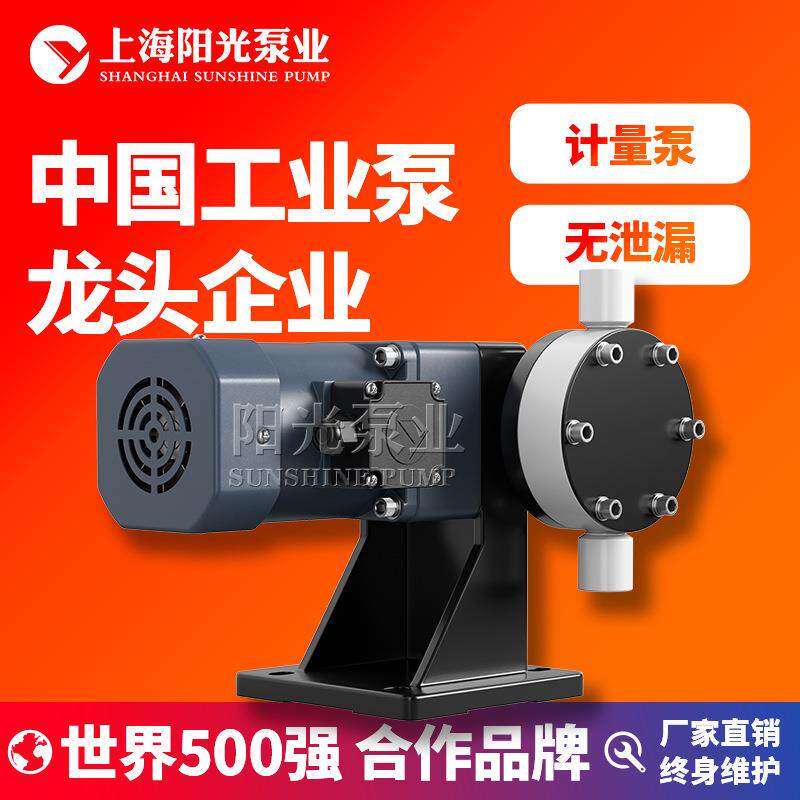 DJ-L型隔膜式计量泵计量泵 污水计量泵现货电动隔膜计量泵