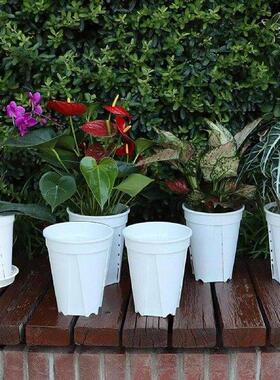 Plants Pots Pots For Indoor Plants 5 Piece Containers Box
