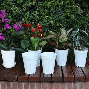 Plants Pots Pots For Indoor Plants 5 Piece Containers Box