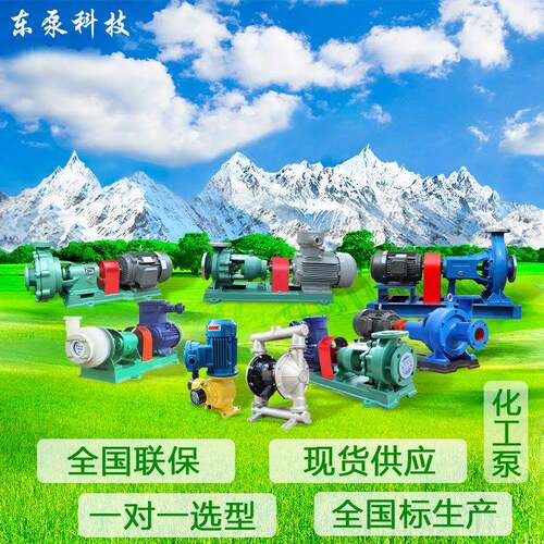 山东东泵氟塑料离心泵FSB衬氟离心增压耐酸耐碱耐腐蚀化工泵