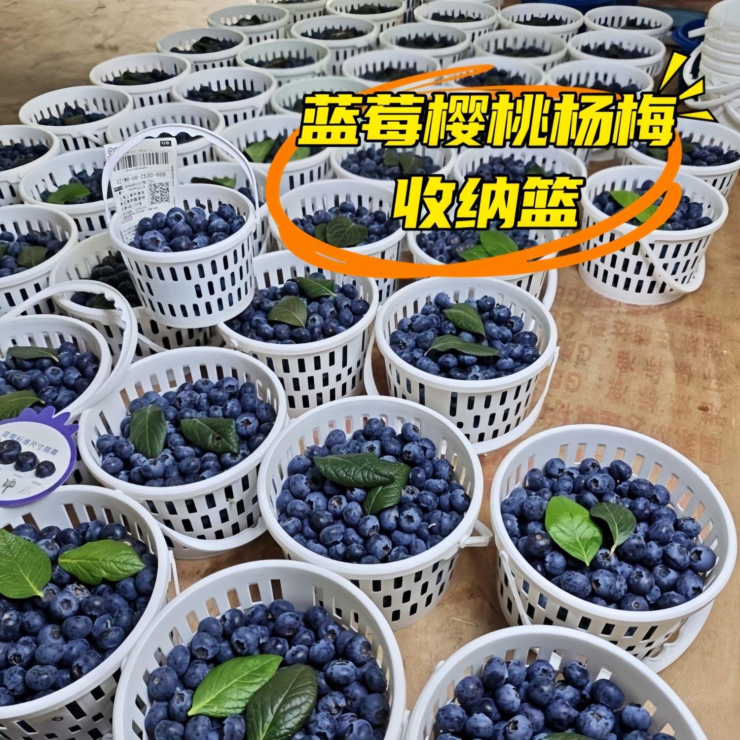 蓝莓杨梅樱桃篮塑料篮子水果篮子收纳篮水果筐子蓝莓杨梅樱桃篮子