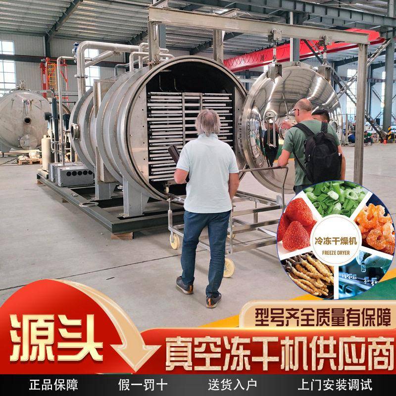 真空冷冻干燥机食品级商用冻干机果蔬宠物粮虫草冻干设备