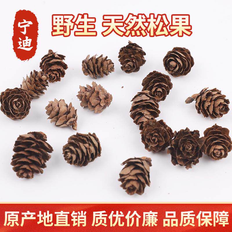小落叶松果小松花迷你松果工艺品材料圣诞装饰拍摄道具采购