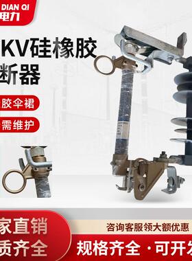 跌落式熔断器11kv硅橡胶熔断器HRW12-11KV-100A高压真空熔断器