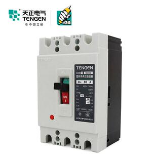 TENGEN天正电气 100 3300 100A塑壳断路器3P空气开关80A63A DZ20Y