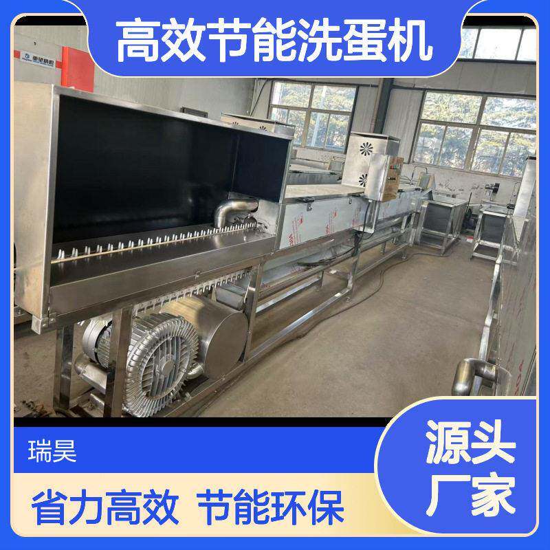 全自动双排洗蛋机厂家效率清洁洗蛋设备保洁冲洗机洗蛋机