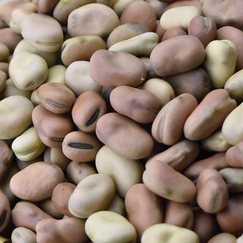 云南新鲜干蚕豆农家新货散装五斤生的白皮胡豆罗汉豆小颗粒做炒豆