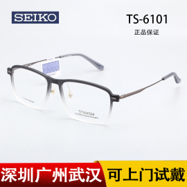 SEKIO精工眼镜框时尚方框系列超轻复古潮流中性全框眼镜架 TS6101