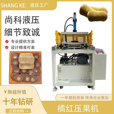橘红压制成型机按需定制液压机双柱液压机