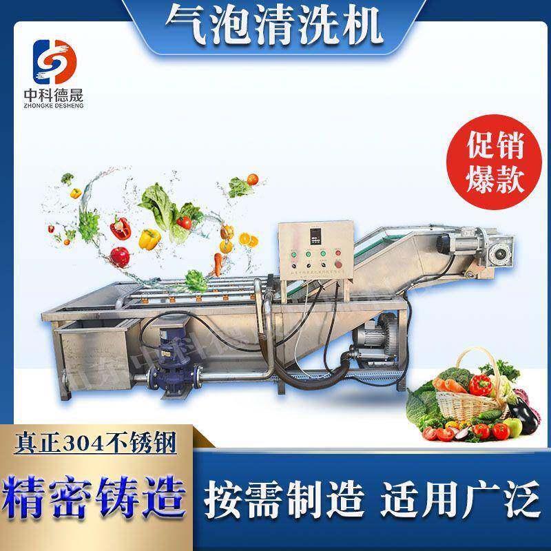 中科德晟全自动气泡大枣清洗机不锈钢竹笋莴笋果蔬清洗机净菜设备