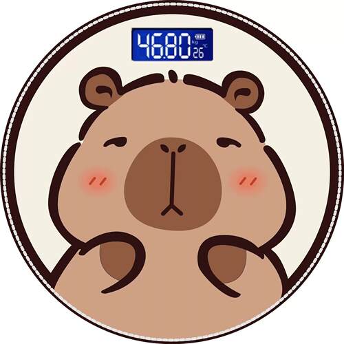体重2026新款电子体重秤手提食物运动智能食品克重专用减脂中药