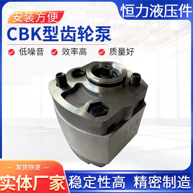 小型齿轮泵升降机齿轮泵小排量齿轮油泵CBK系列微型液压齿轮泵