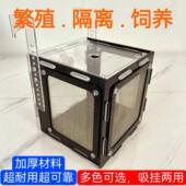 鱼缸孵化隔离盒压克力食品级尼龙网金波子异形鱼卵小鱼孔雀小丑鱼