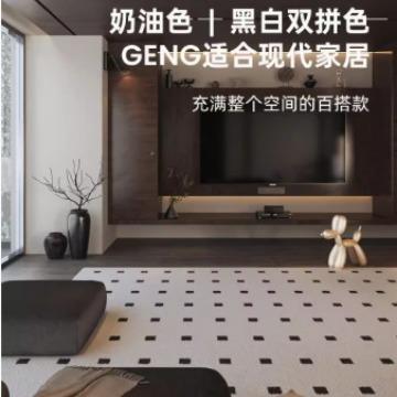 黑石公寓地毯客厅高级防水卧室沙发茶几毯法式轻奢简约耐脏