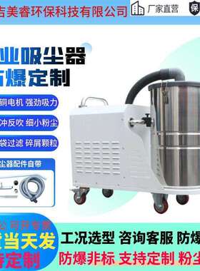 石墨粉尘铜粉锌粉铝屑颗粒防爆吸尘器工业移动吸尘机大功率5500w