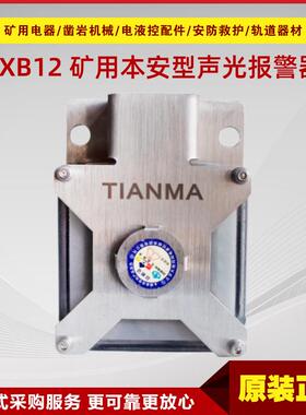 矿用本安型声光报警器KXB12 原厂北京天玛预警装置配套组件